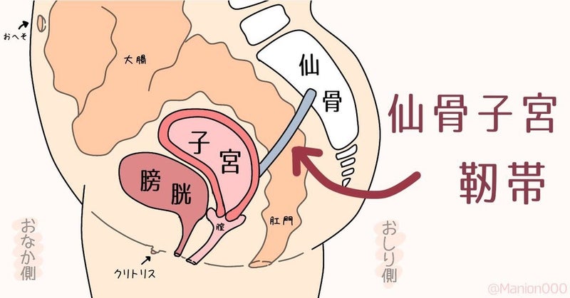 ご無沙汰女子必見！感じやすいカラダを作るハウツー♡性感帯と愛感帯のトレーニング - Peachy（ピーチィ） - ライブドアニュース