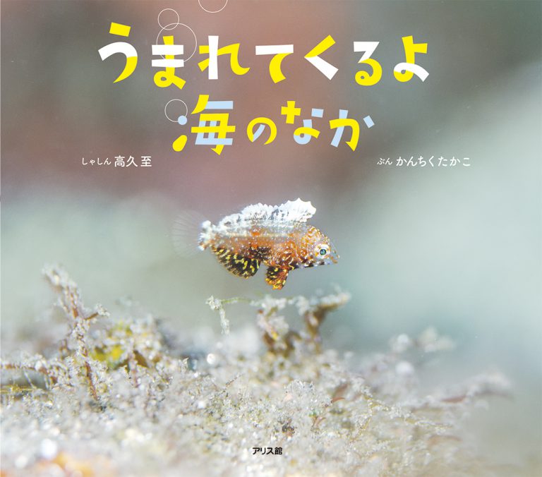 ○○しないと出られない部屋』に閉じ込められてしまったボクたちはー…!?（Lily-tea）の通販・購入はフロマージュブックス | フロマージュブックス