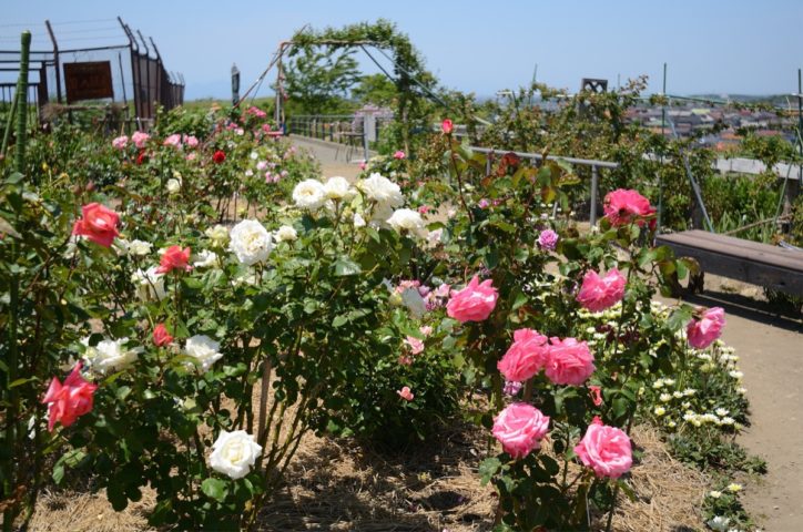 シャロン横浜大通り公園の売却査定・賃料査定・購入・価格情報 | 大京穴吹不動産