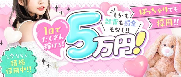 相模原市 送りドライバー求人【ポケパラスタッフ求人】