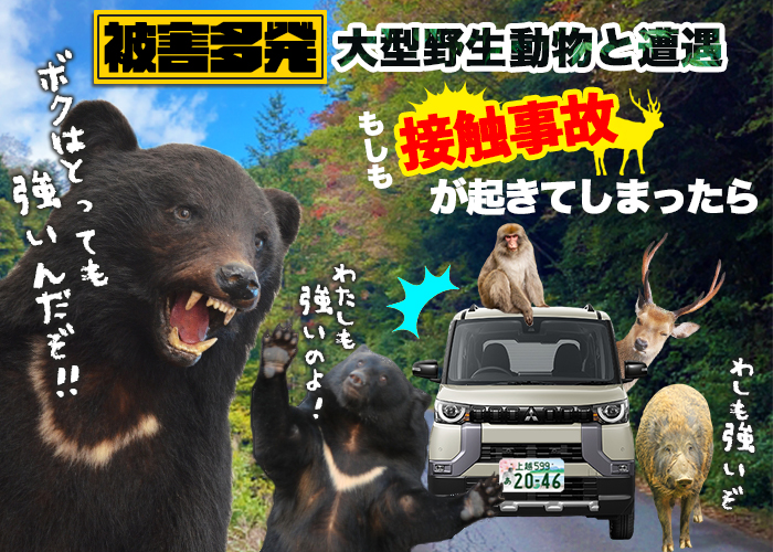 のぼりべつクマ牧場の写真一覧 - じゃらんnet