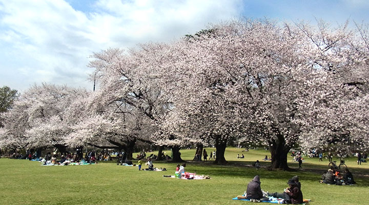 日本大学理工学部船橋校舎14号館