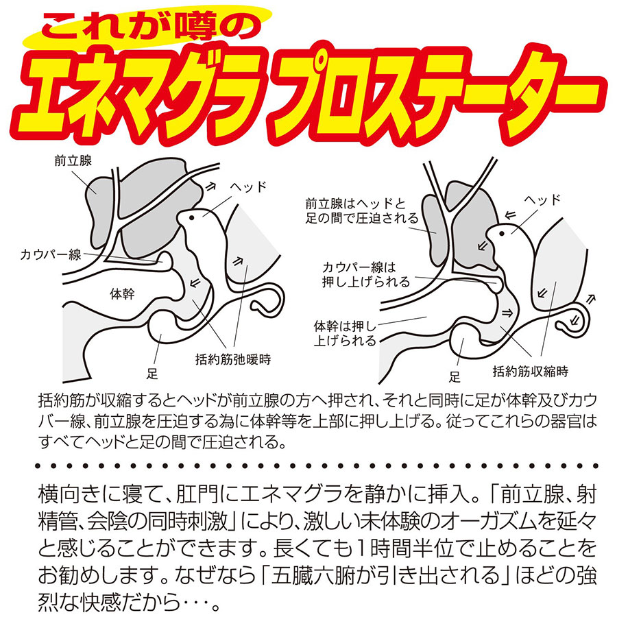 エネマグラを使ったセックスってどうなの？ | エネマグラ（ENEMAGRA）公式サイト