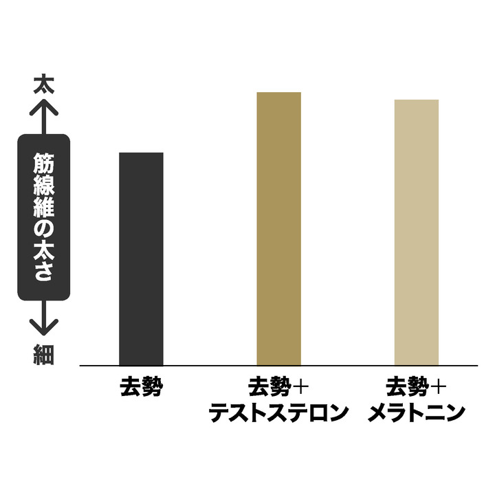 オナニーの翌日に疲れる理由】次の日に疲労感を残さない方法 | 男の美学