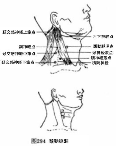 首の腫瘤・しこり・腫れ、甲状腺と思っても超高解像度超音波エコーで調べると[長崎甲状腺クリニック大阪]