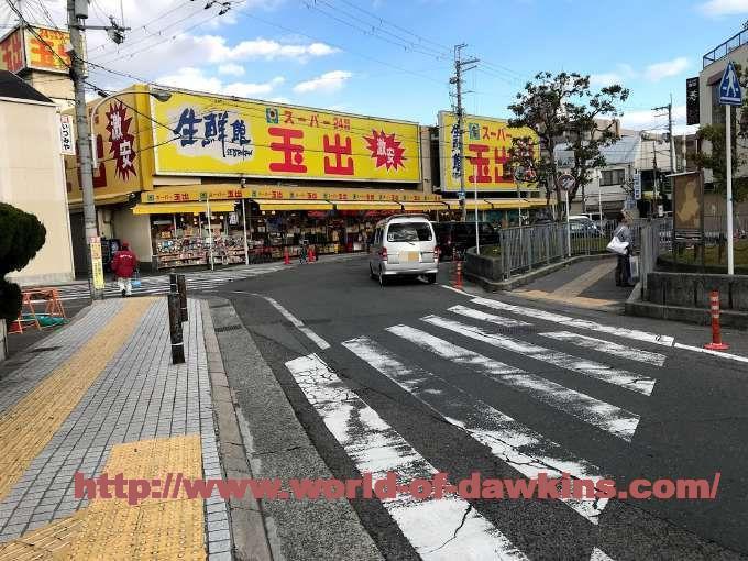 信太山新地の行き方と料金や遊び方・おすすめのお店を体験談から解説