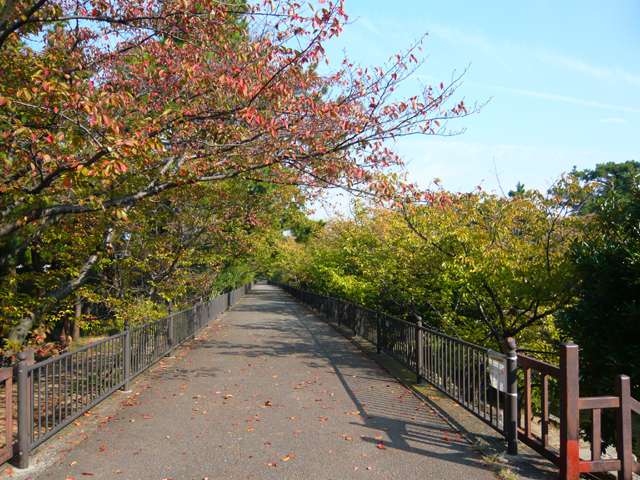 大野眼科医院 香枦園コンタクトレンズ (兵庫県西宮市/眼科)| e-NAVITA（イーナビタ） -