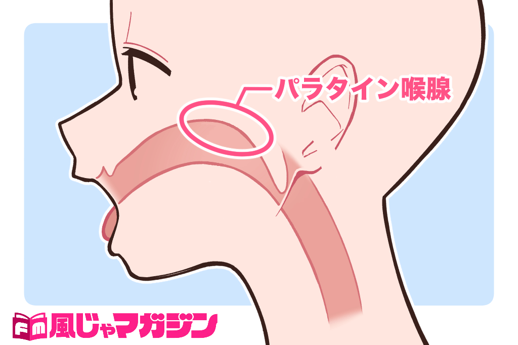 未知の性感帯開発…⑦仙骨 | 長野県女性用性感マッサージTIARAティアラ-女性用風俗