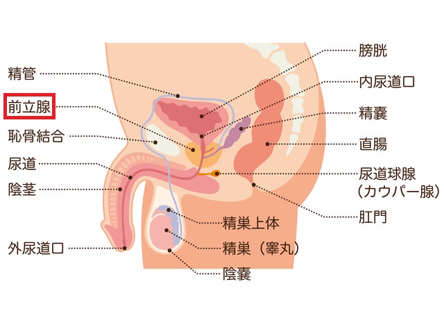 ホームズ】エルドラドA(さくら市)の賃貸情報