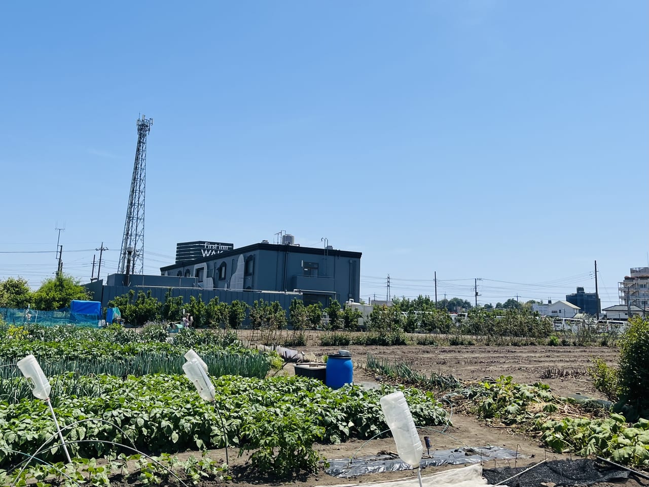 グリーンサラダ｜熊本の彼女が好むラブホテル