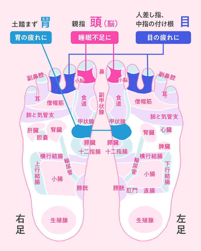 リフレクソロジーと足つぼマッサージの違いを徹底解説