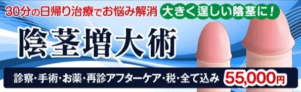 男性器の大きさは女性にとって重要なのかというアンケート結果をまとめた図 - GIGAZINE