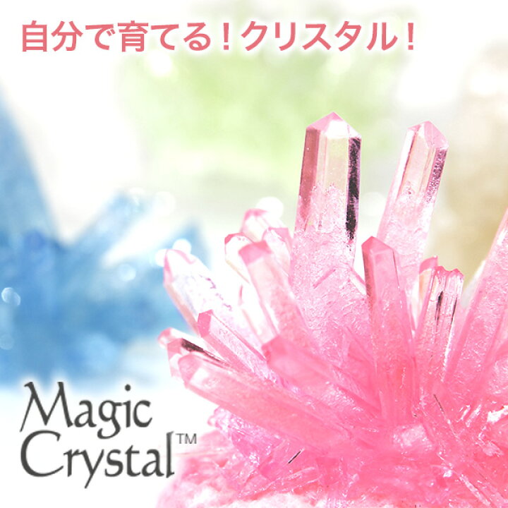 Magica WandⅠ シングルポイントクリスタルワンド〜M23321 | 奇妙な洋装雑貨店