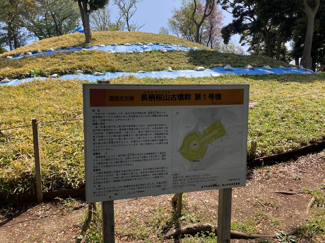 菊名桜山公園（カーボン山） | 子供とお出かけ情報「いこーよ」