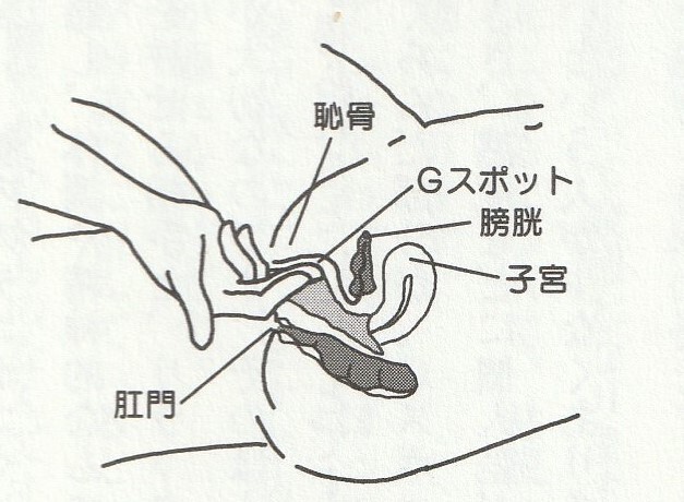 膣内に入れる指は一本が正しいのか二本がいいのか、はたまた三本か？ – FANZAニュース