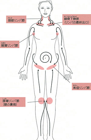 リンパマッサージ専門サロン 美健樹 |