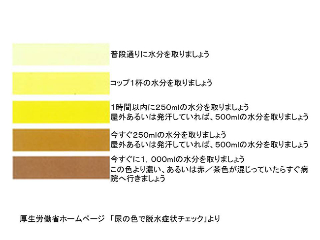 最近、塩味を感じなくなったな・・・」。それ腎臓病のサインかも、ご注意を！【日本発・最新データ】（黒澤恵（Kei Kurosawa）） - エキスパート 