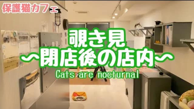 コロナ禍で「サンシャイン60通り」閉店ラッシュ 池袋のゴーストタウン化説は本当か？ |