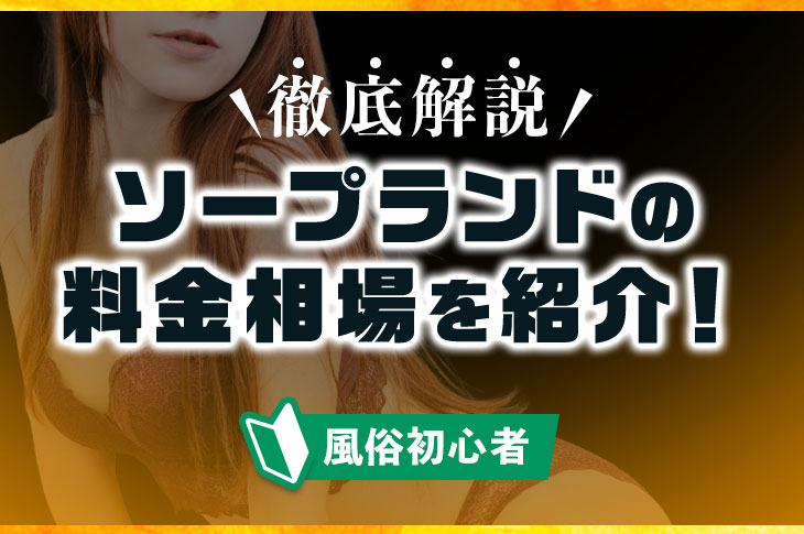 価格帯別】吉原ソープおすすめ・人気店 計74選！口コミ&ランキングも｜風じゃマガジン