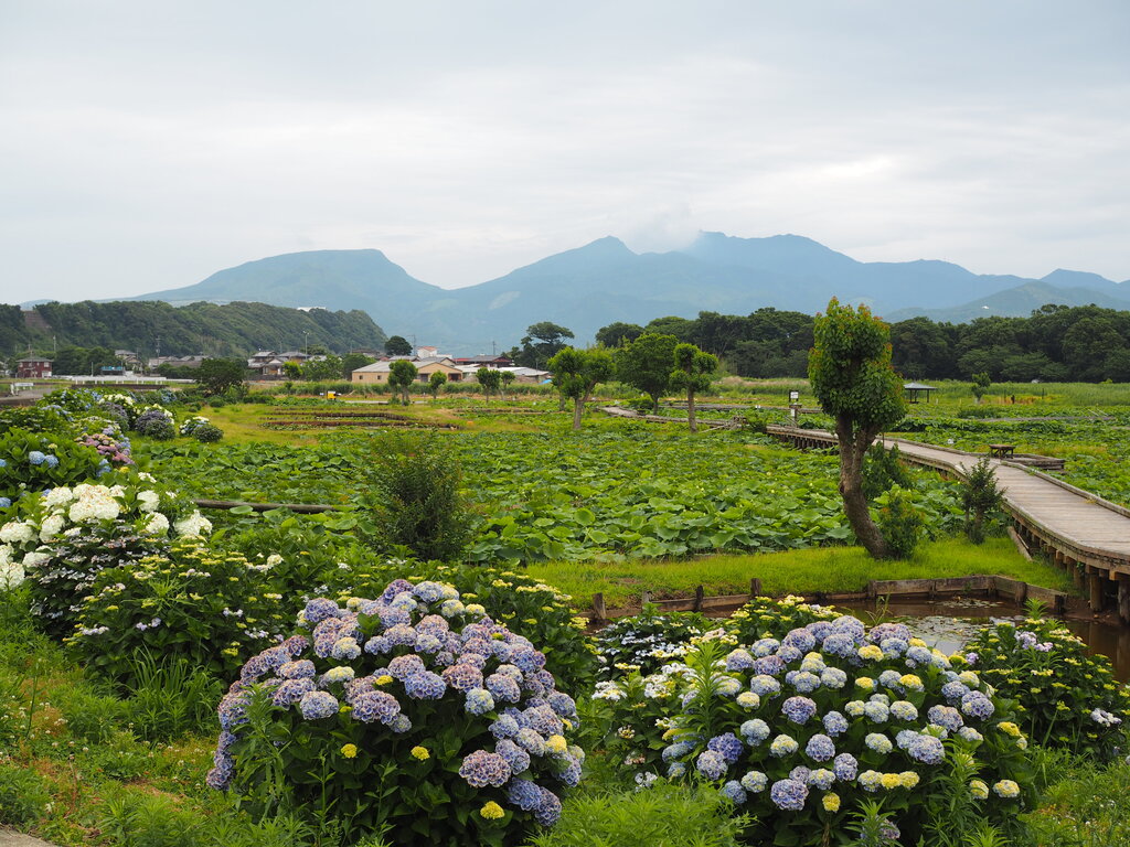 広島県/福山キャンパス｜中国・四国｜おおぞら高等学院 - おおぞら高校