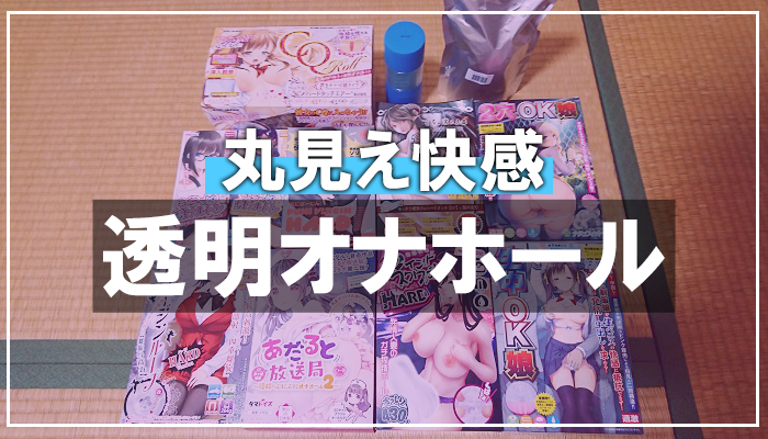 オナホ歴16年の俺が選別したおすすめオナホール20選 ｜初心者は読め！王道・定番からオリジナル・電動まで｜アダラボ アダルトVR-LABO