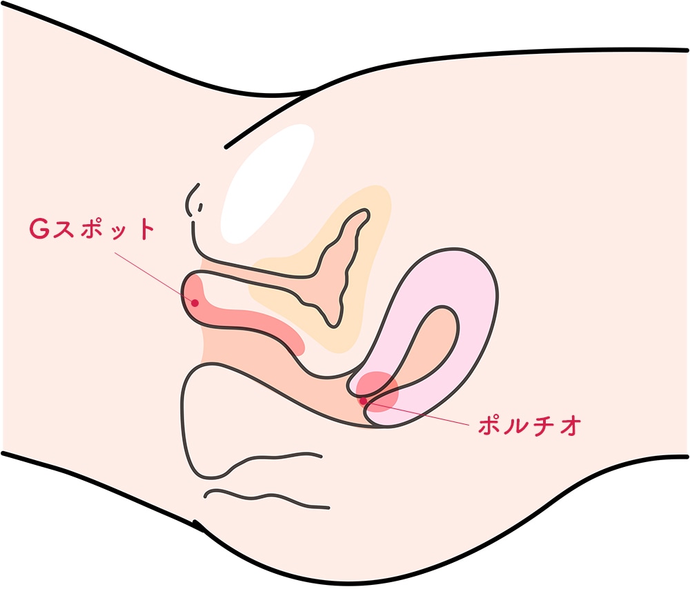 数の子天井、ミミズ千匹の名器とは？？ - 美容外科｜船橋中央クリニック&青山セレスクリニック