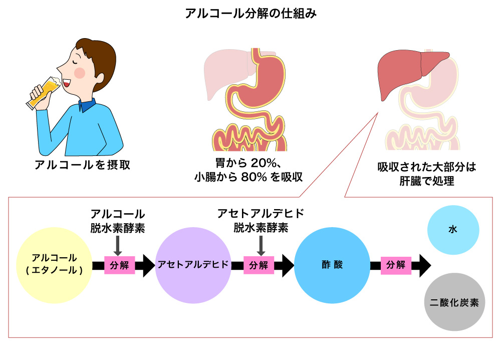 男児の性教育】思春期に身につけたい「正しいマスターベーション」の作法とは 専門医がくわしく解説 - コクリコ｜講談社