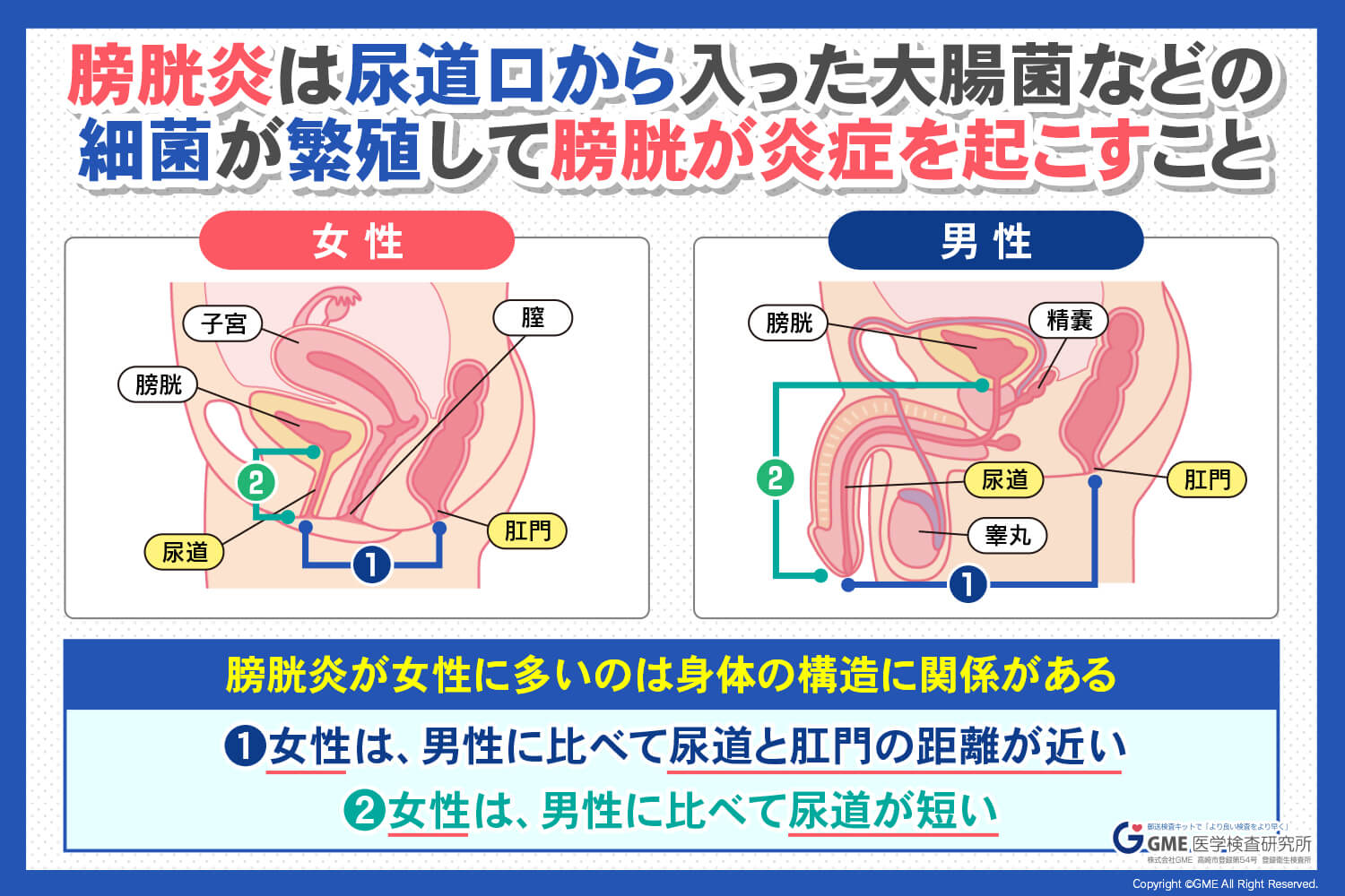 風俗利用後に不安がある場合 | 子宮頸がん・STD検査のアイラボ（東京都 八王子市）