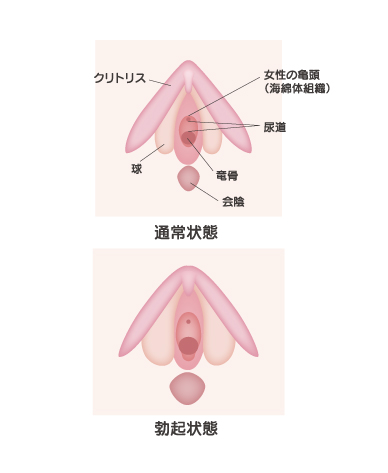 週刊アサヒ芸能 ［ライト版］ 2024年01月25日発売号 | 雑誌/電子書籍/定期購読の予約はFujisan