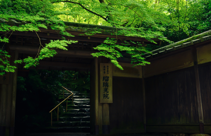 雨の日の京都観光 | KOTOLILY