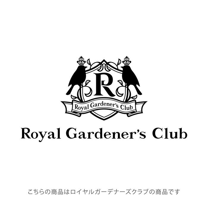 楽天市場】【ご満足頂けないなら全額ご返金】 バニラビーンズ レビュー4.86！【17-21cm以上】【3本+1本】 パプアニューギニア産