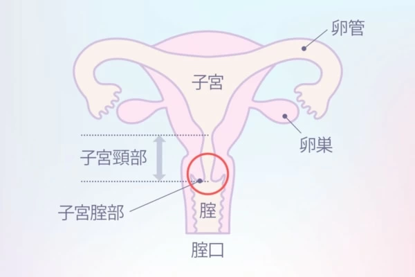 女性が中イキしやすくなる方法やコツからできない原因まで解説 | コラム一覧｜