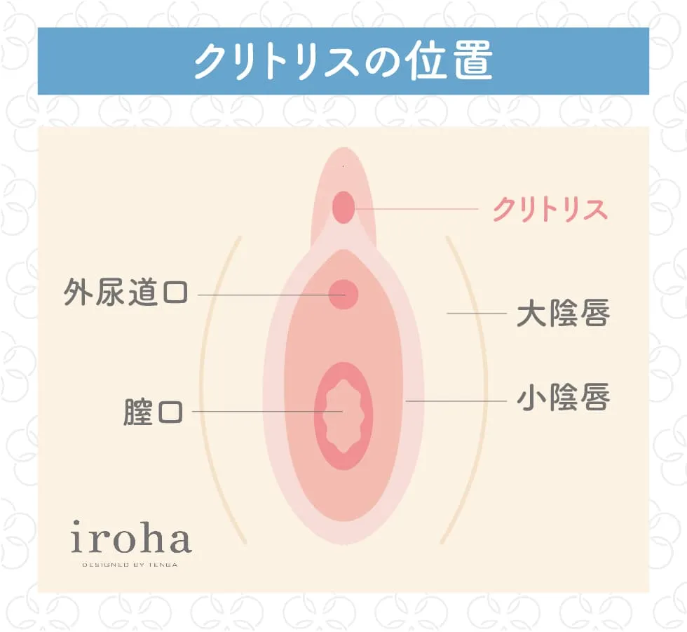 医師監修】中イキと外イキの違いって？ オーガズムについて専門医に聞いてみたら… | Oggi.jp