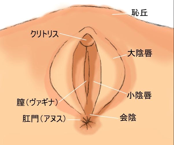 女性同士のセックスで快楽を！オススメなレズプレイのやり方TOP5｜駅ちか！風俗雑記帳