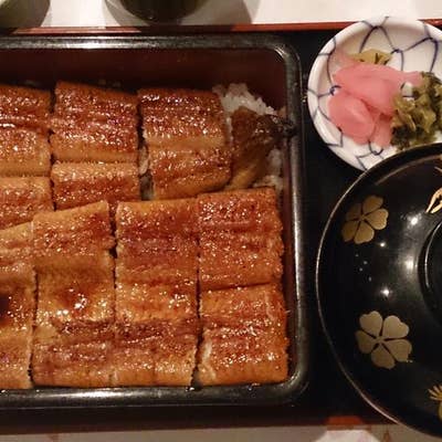 わらやき屋 四万十川 新宿（新宿/日本料理・郷土料理）