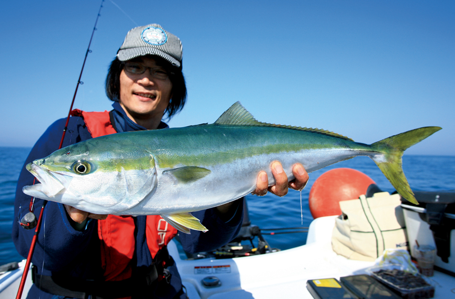 村山)葉山｜やまがた山（山形県山岳情報ポータルサイト）