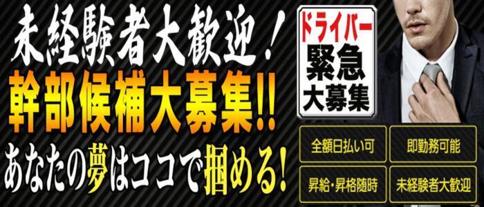 ぼくらのデリヘルランドin久喜店｜春日部・越谷・草加 | 風俗求人『Qプリ』