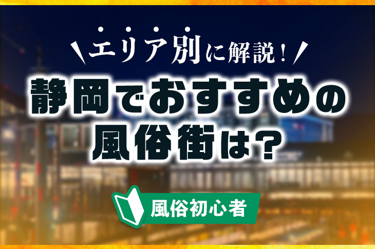 静岡市で人気・おすすめの風俗をご紹介！