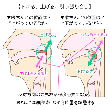 性病の検査・治療は病院の何科に行けばいい？ | 泌尿器科｜GOETHE