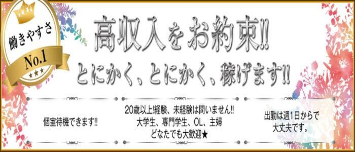 プレイガール｜亀有のソープ風俗男性求人【俺の風】