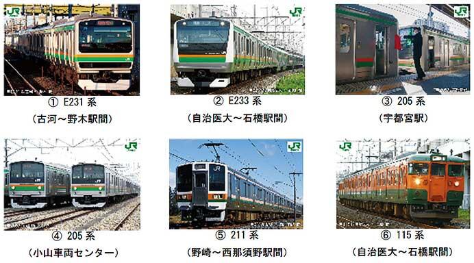 雀宮から全国を地元にしたい。ー白鴎大学／野崎 悠花さん | あしかもメディア |