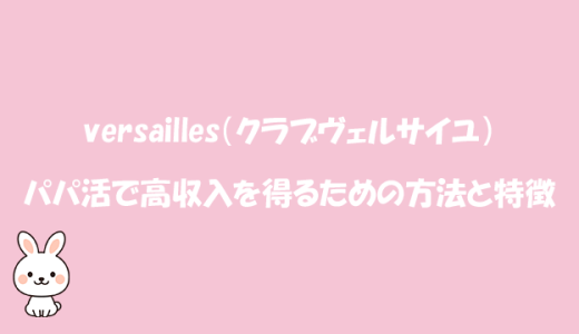 高級交際クラブ ヴェルサイユの評判！特徴や入会方法・採用基準・メリットやデメリット