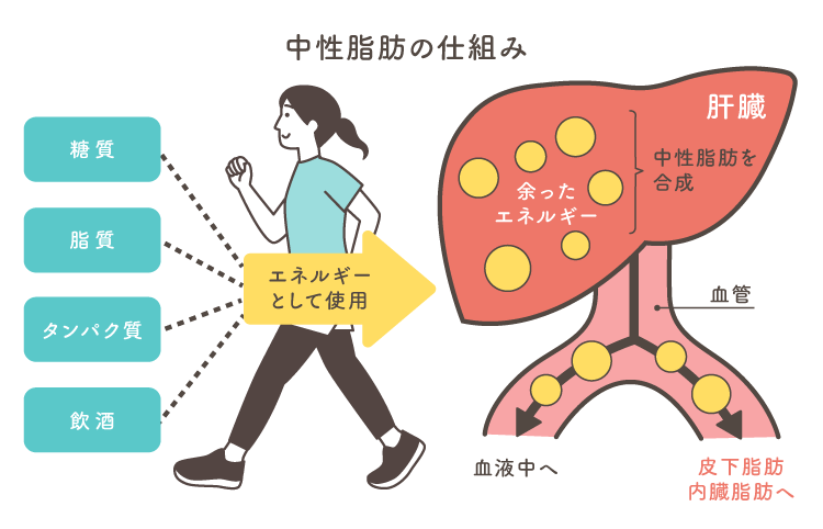 脳神経外科の病気：神経・血管圧迫症候群 | 病気の治療