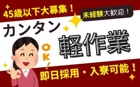 diary～人妻の軌跡～伊勢崎.高崎.本庄総合窓口(ダイアリー ヒトヅマノキセキ イセサキタカサキホンジョウソウゴウマドグチ)の風俗求人情報｜伊勢崎・桐生  デリヘル