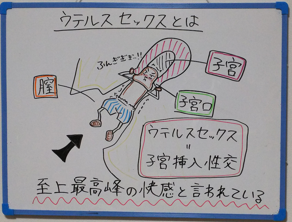 イラストつき】立ちバック（背面立位）のやり方・コツは？2人で気持ち良くなって、マンネリ防止！ | WOLO 好きな人に愛されたい