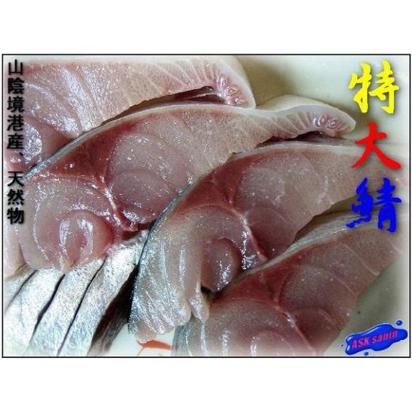 山陰大松 氷温熟成 煮魚・焼き魚ギフトセット(華-hana-)【お届け期間：12月24日〜12月31日】[NYG-100]【福袋】