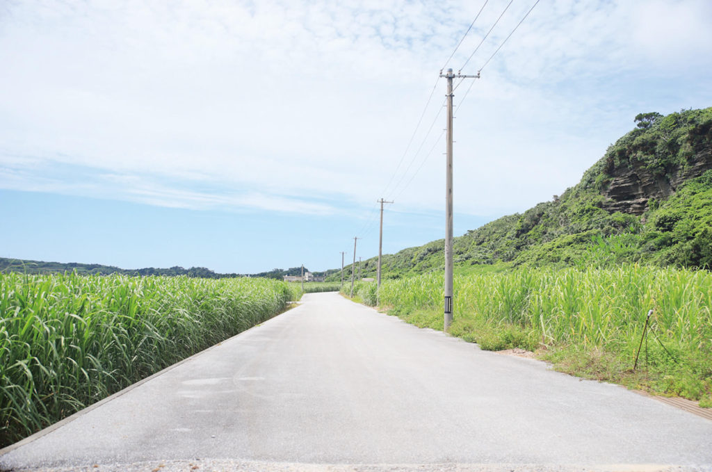 群馬県公娼廃止沿革史 [徳川幕府末期よりの風俗状態/公娼廃止の経過/他] 群馬県警察部