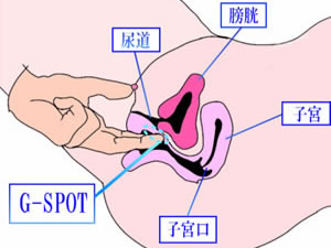 ⚠️閲覧激注意「ファンタジースポット」視聴感想 ネタバレなし Gスポットは過去の産物！笑