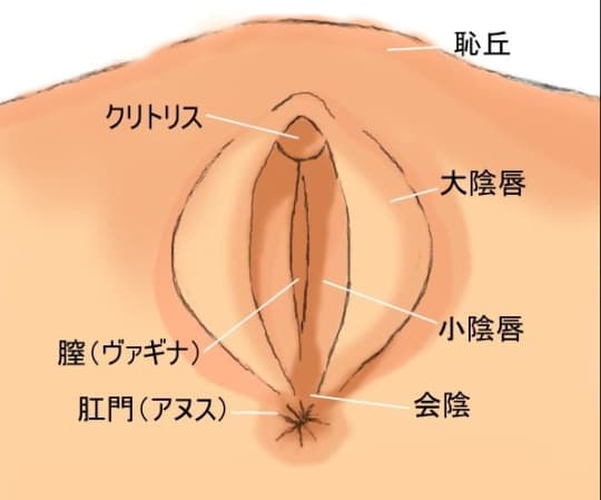 マンコをほぐすようにアナルをほぐすと？: 723LABO: M男系,: XCREAM