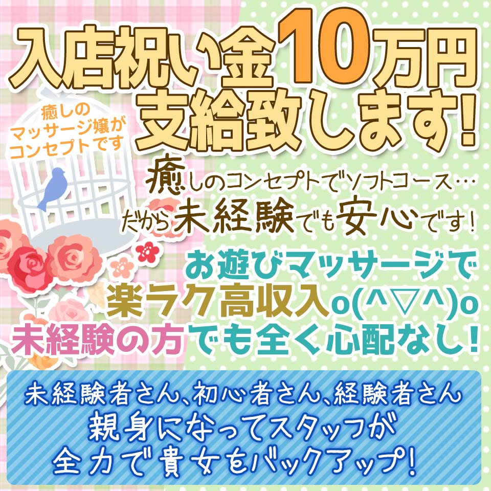 断りきれない美人マッサージ嬢たち(コトワリキレナイビジンマッサージジョウタチ)の風俗求人情報｜新宿・歌舞伎町 デリヘル